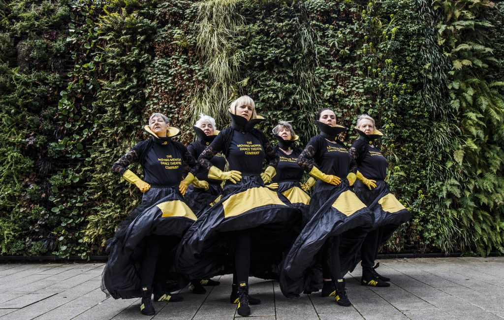 6 women dressed in striking black and yellow crinoline skirts and boxing boots stare at the camera. Their T-shirts say Moving Memory Dance Theatre Company.